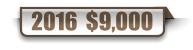 2016  $9,000
